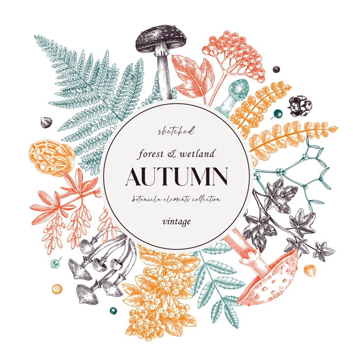 Autumn card or invitation in color. Thanksgiving wreath design. Decorative wreath with realistic  fall leaves, mushrooms, ferns, forest plants sketches. Hand drawn vector illustration